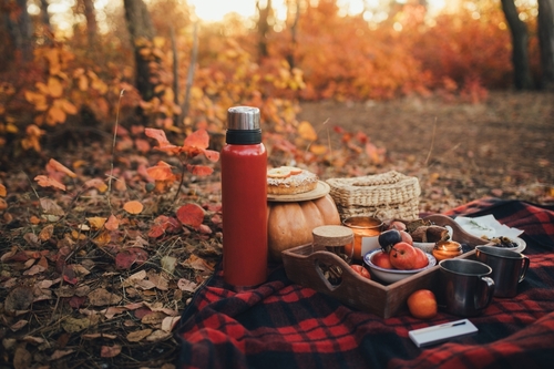 763c176c1e7a279d3d442a9a1b023253_1762546614_4306.jpg 763c176c1e7a279d3d442a9a1b023253_1762546614_4306.jpg