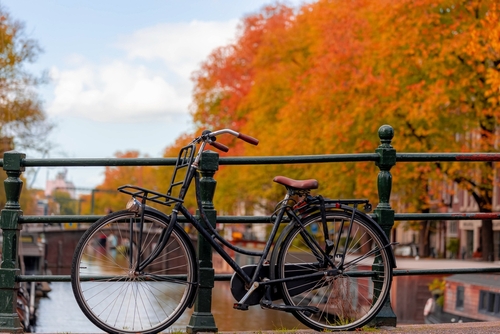 c2635632c84fe4c745cb6c12af82fb79_1762546398_3314.jpg c2635632c84fe4c745cb6c12af82fb79_1762546398_3314.jpg