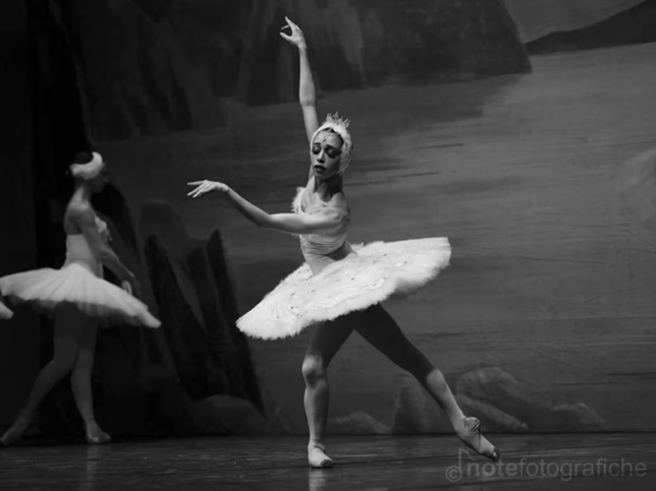 a94147090daf4edd1ee36c84b8aff65f_1767383417_5797.png a94147090daf4edd1ee36c84b8aff65f_1767383417_5797.png