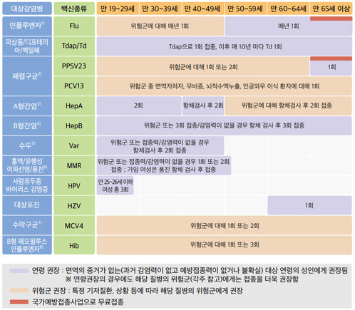 성인 예방접종 일정표(자료제공=질병관리청)