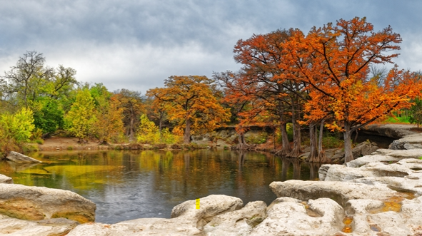 (사진 출처:shutterstock)