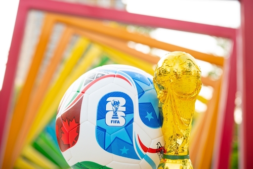 (사진 출처:Freer / Shutterstock)
